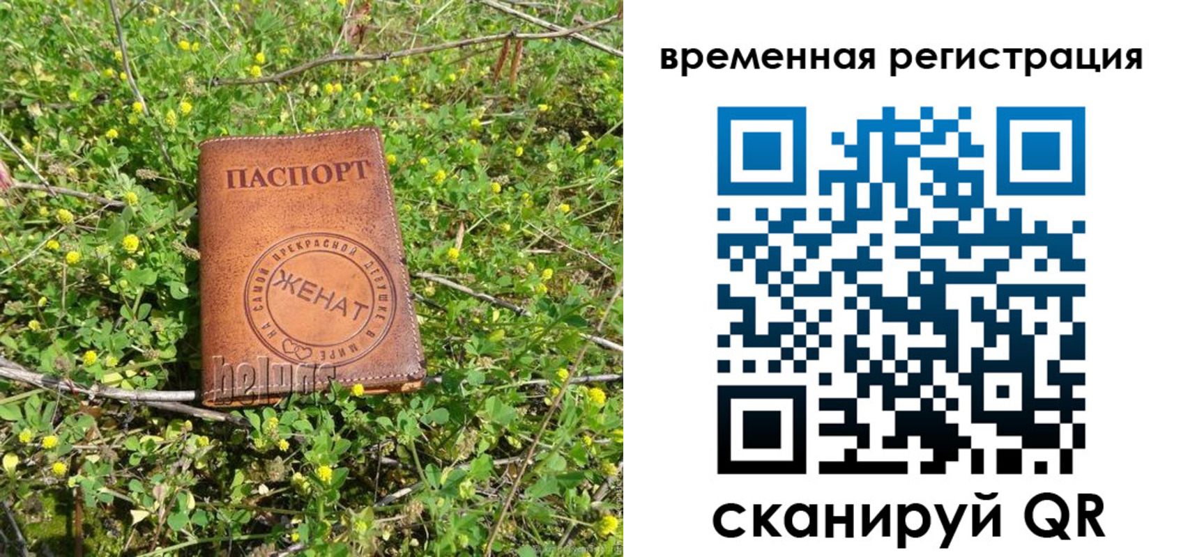 прописка регистрация в Северной Осетии